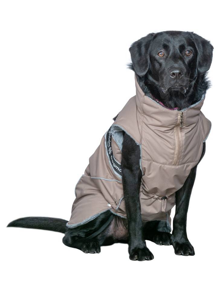 Для средних и крупных пород