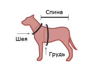 Размеры одежды для малых пород