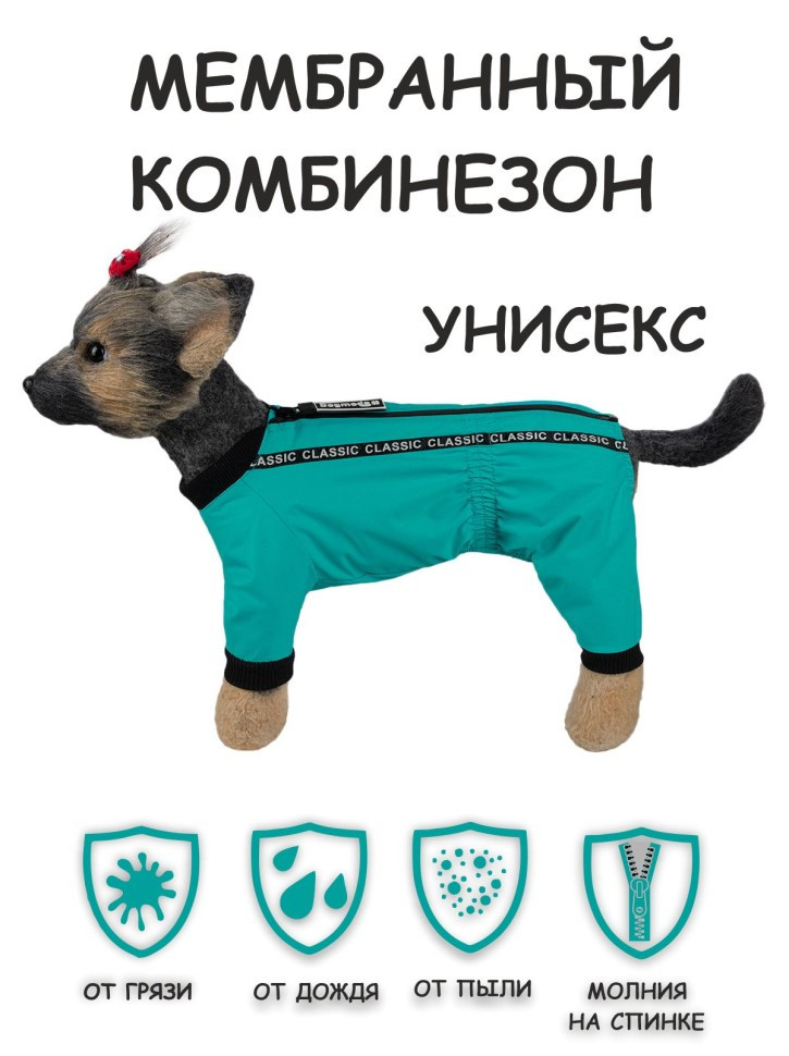 Дождевик "Мартин" (голубой) унисекс