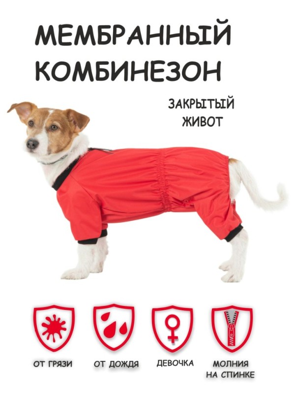 Дождевик "Мартин" красный девочка