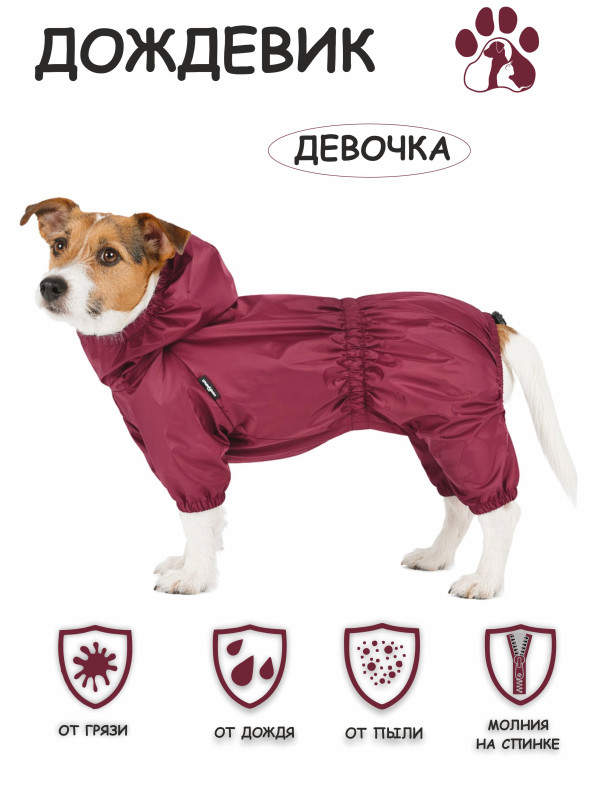 Дождевик (бордо) девочка