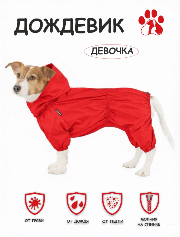 Дождевик (красный) девочка
