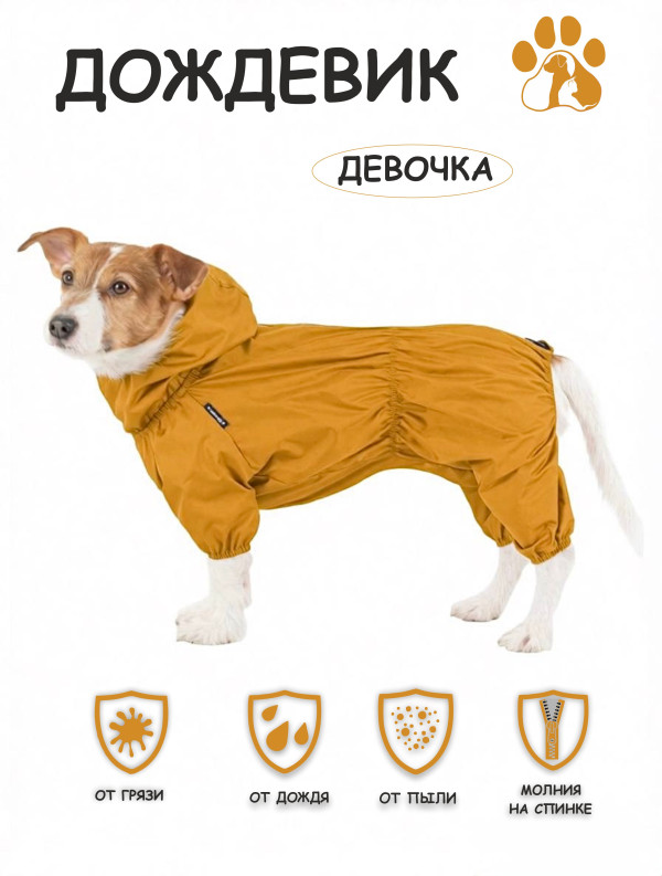 Дождевик (горчица) девочка