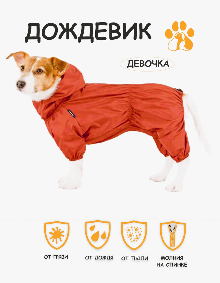 Дождевик (мандарин) девочка