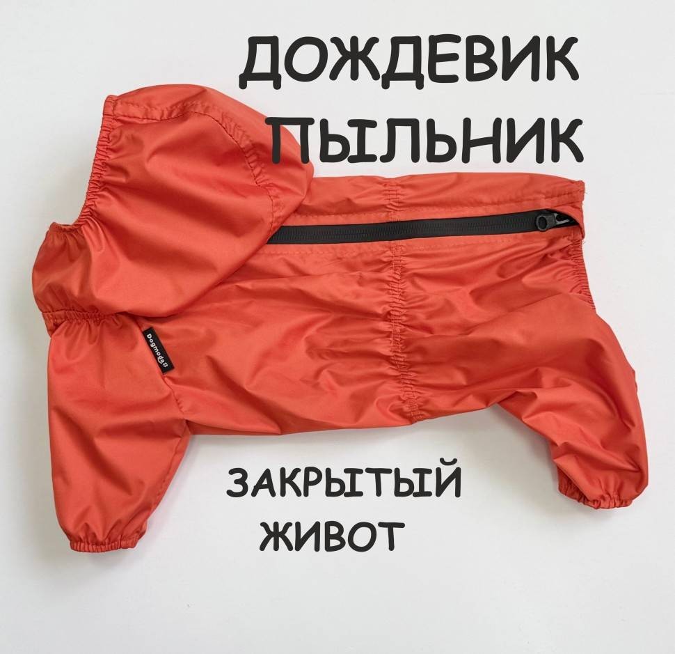 Дождевик мандарин девочка размер