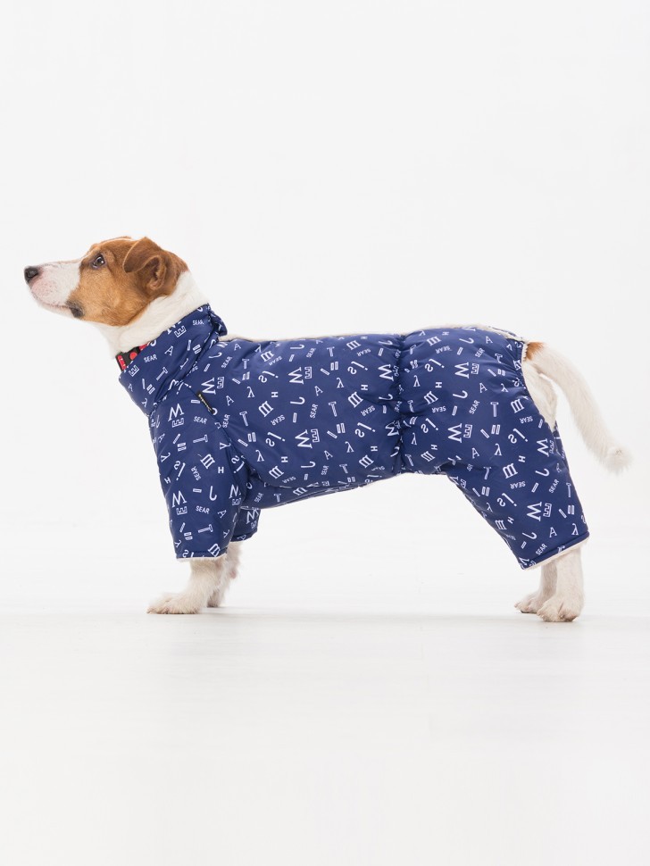 Комбинезон "Буквы" с кнопками сверху (синий)