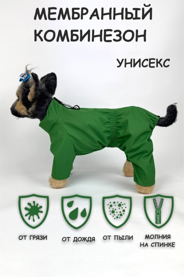 Дождевик "Color" (зеленый) унисекс