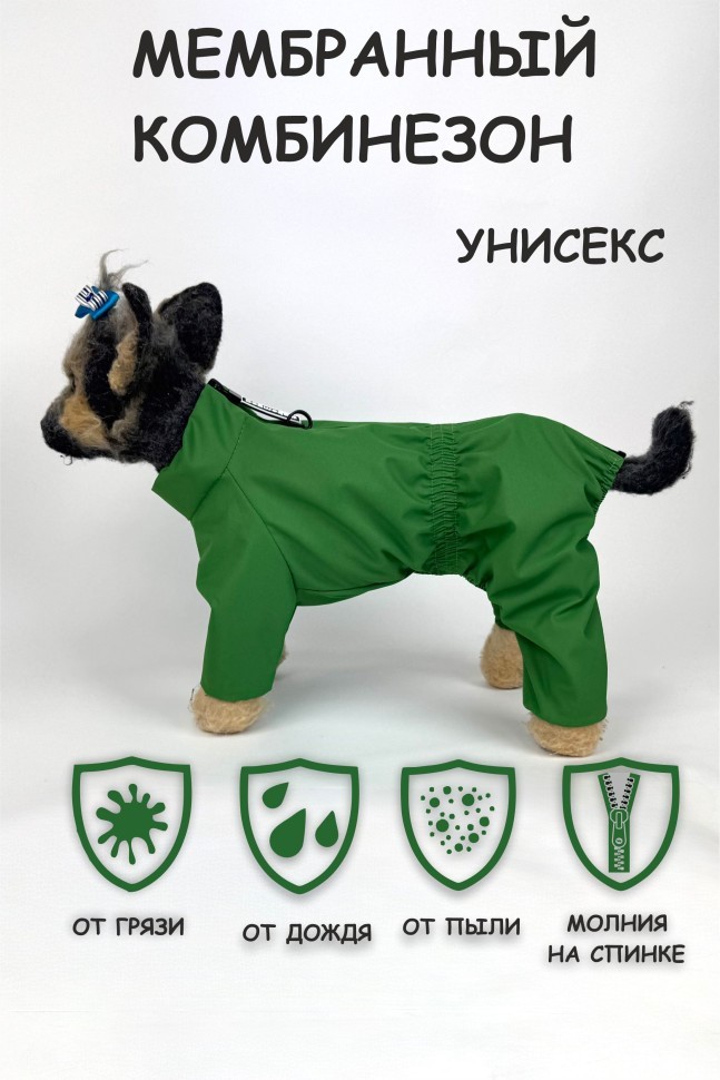 Дождевик "Color" (зеленый) унисекс